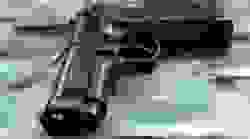 gun